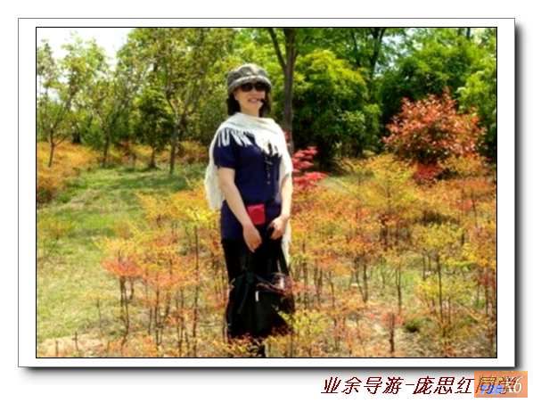 点击在新窗口查看原始图片